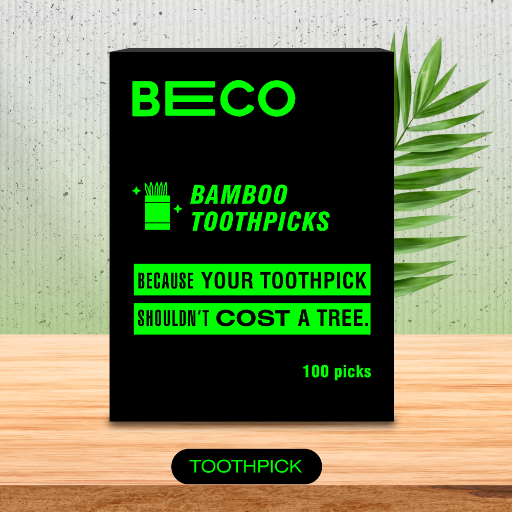 Bamboo Toothpick - 100 Picks_