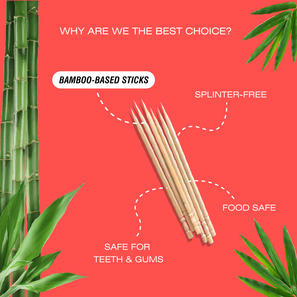 Bamboo Toothpick - 100 Picks_